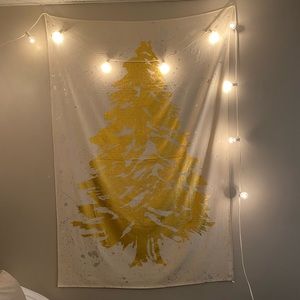 Urban Outfitters Tapestry!